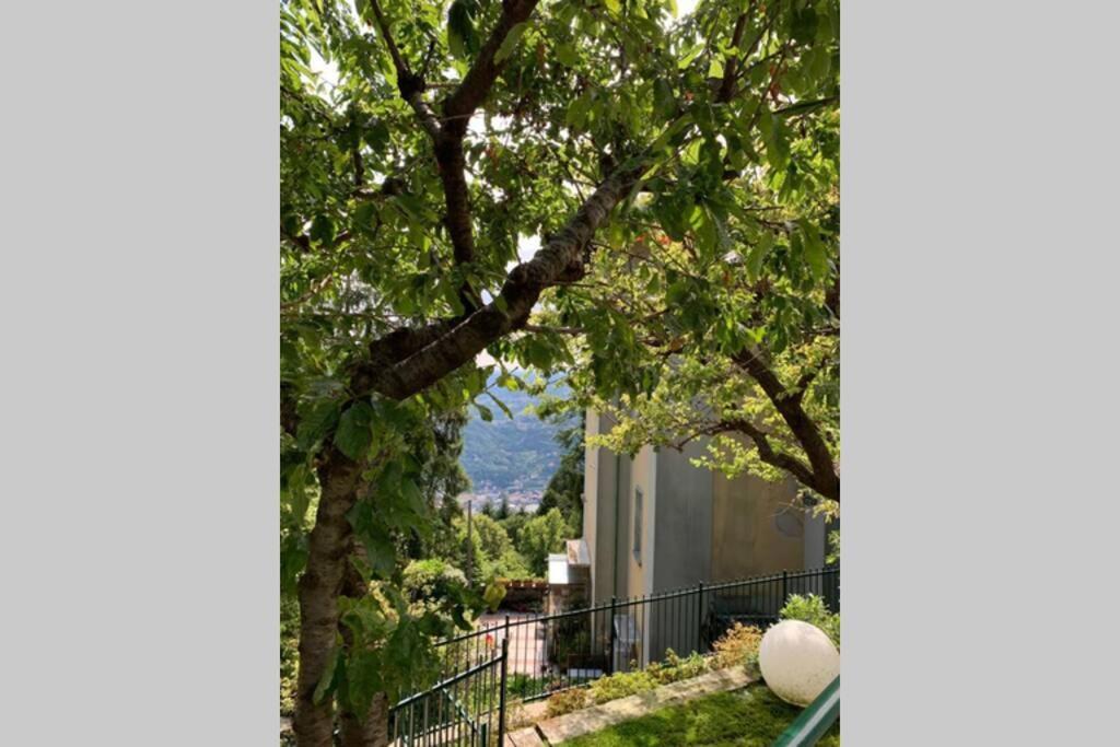 The Cherry Garden House Loft Lusso Apartment Brunate Bagian luar foto